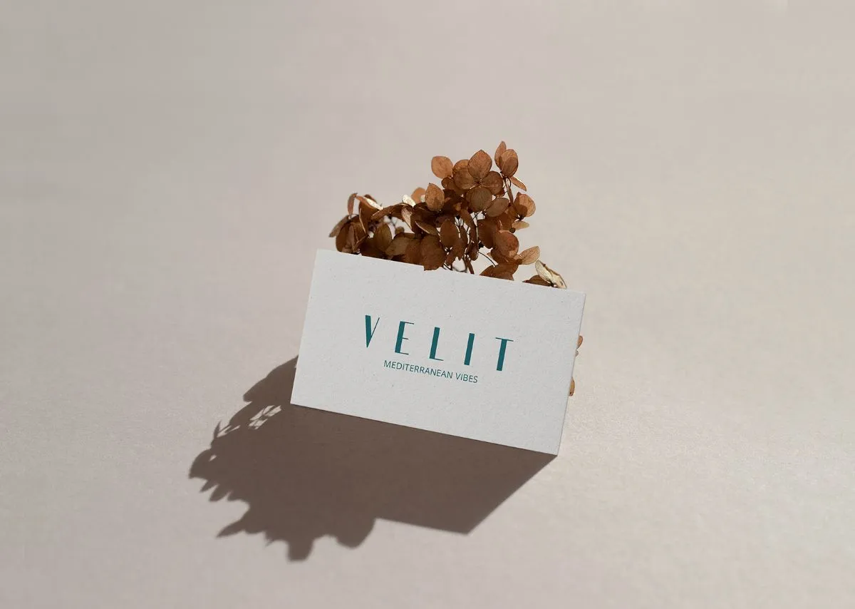 velit08